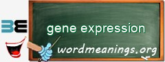 WordMeaning blackboard for gene expression